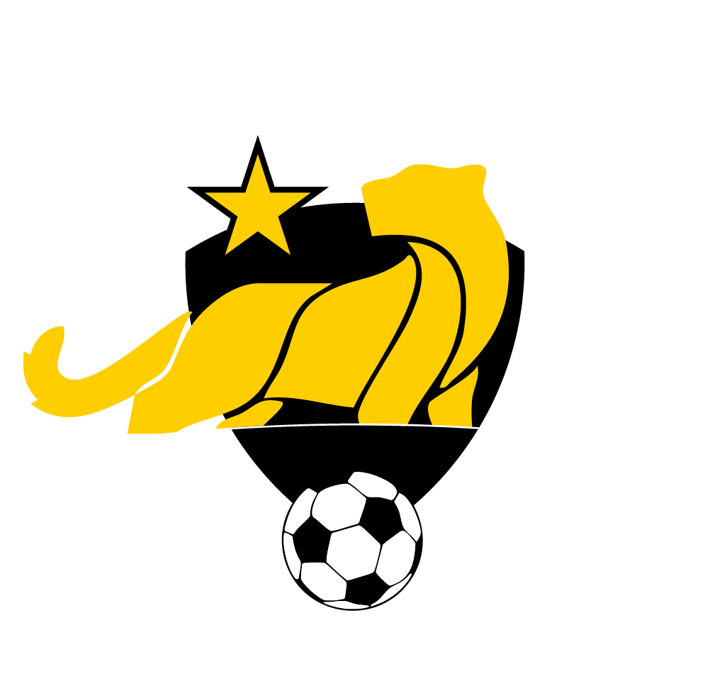 Associazione Calcio Gavardo